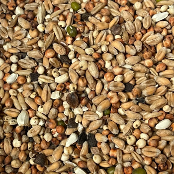 Bucktons Pigeon Conditioner Mix