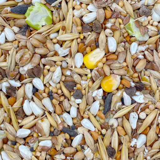 Seed & Grain Rat Mix